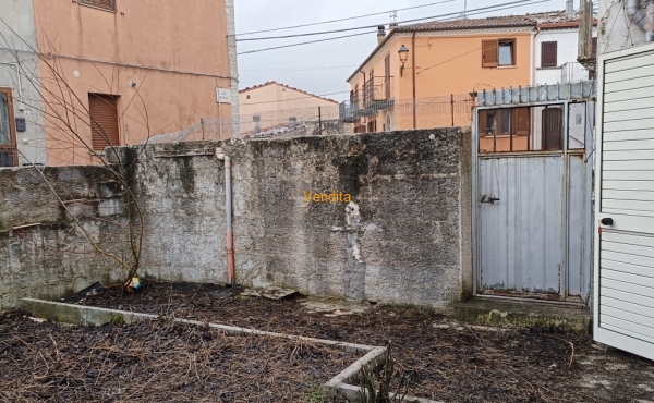IMG20250117100502