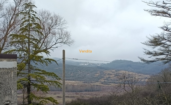 IMG20250117101438