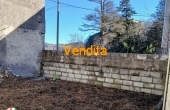 IMG-20250113-WA0003