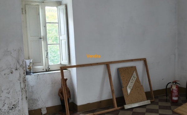 IMG20250916155007