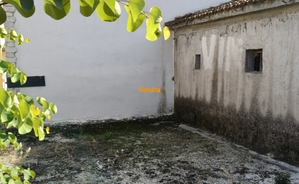 IMG20250916155517
