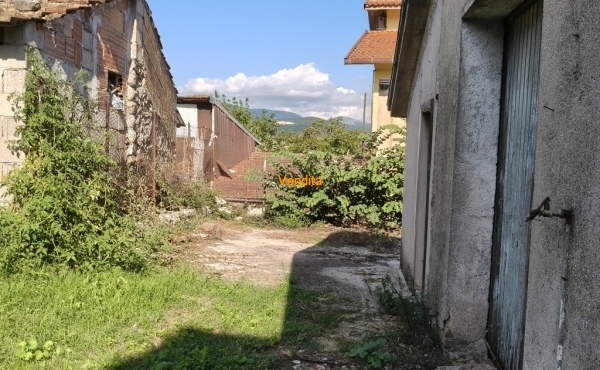 IMG20250916155604