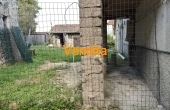 IMG20250916155242