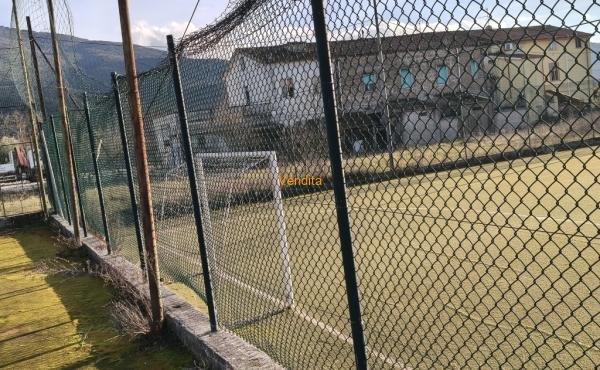 IMG20260127153756