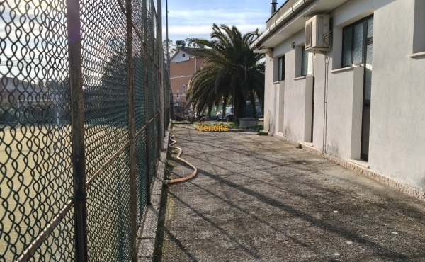 IMG20260127153803
