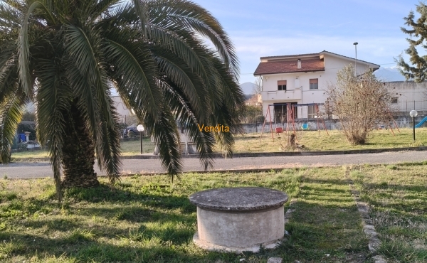 IMG20260127153840