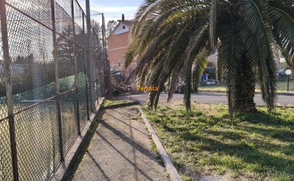 IMG20260127153842