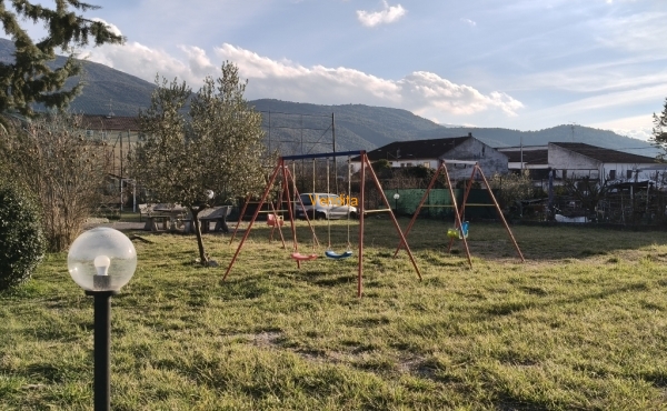 IMG20260127154423