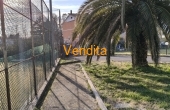 IMG20260127153842