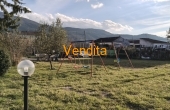 IMG20260127154423