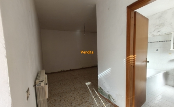 IMG20260918095039