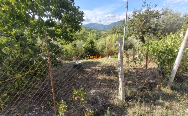 IMG20260918095504