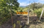 IMG20260918095504